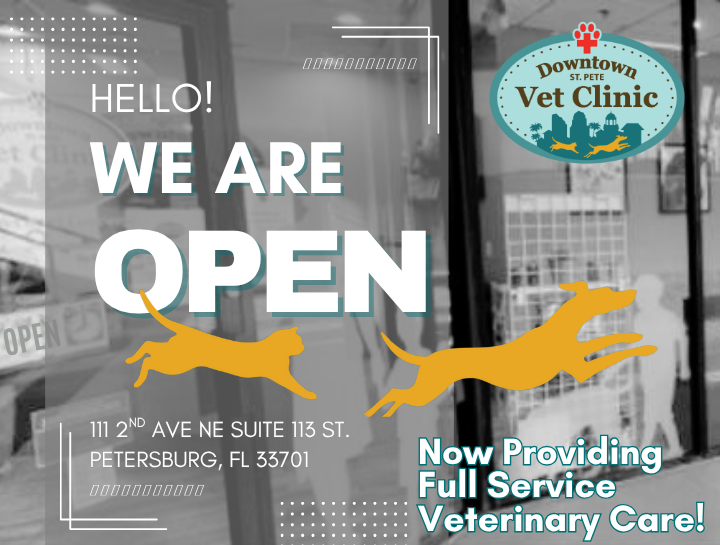 We're Open - Now Offering Full Veterinary Services!