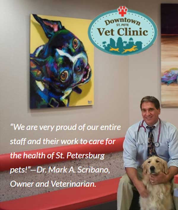 St. Petersburg Pet Hospital