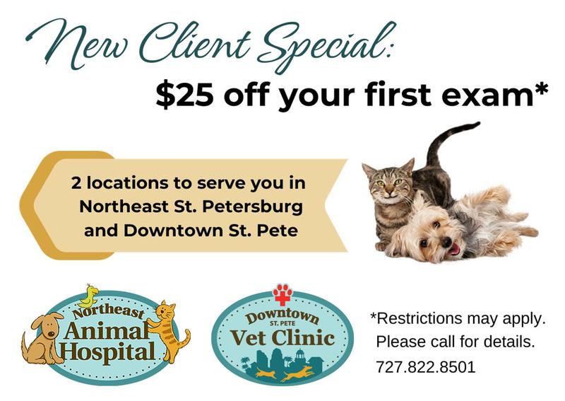 Carousel Slide 2: New client specials available
